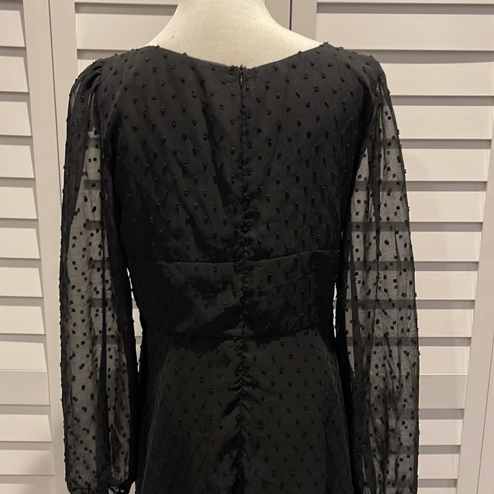 Lyaner Black gorgeous Dress in Swiss Dots Fabric. Long sheer Sleeves, lined. - Picture 7 of 8